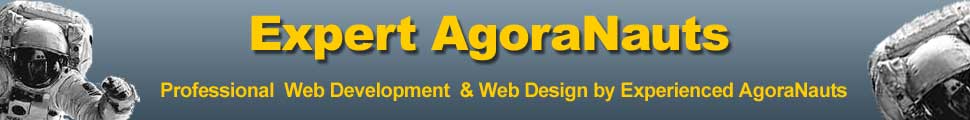 Become an AgoraCart Website Design Web Development Partner